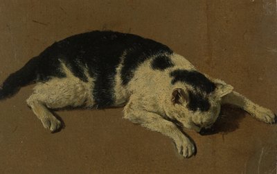 Gato deitado (pincel de óleo) de Adriaen van de Velde